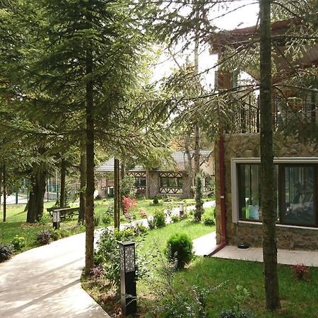 Bolu Koru Hotels Spa & Convention Yolcatı Exteriér fotografie
