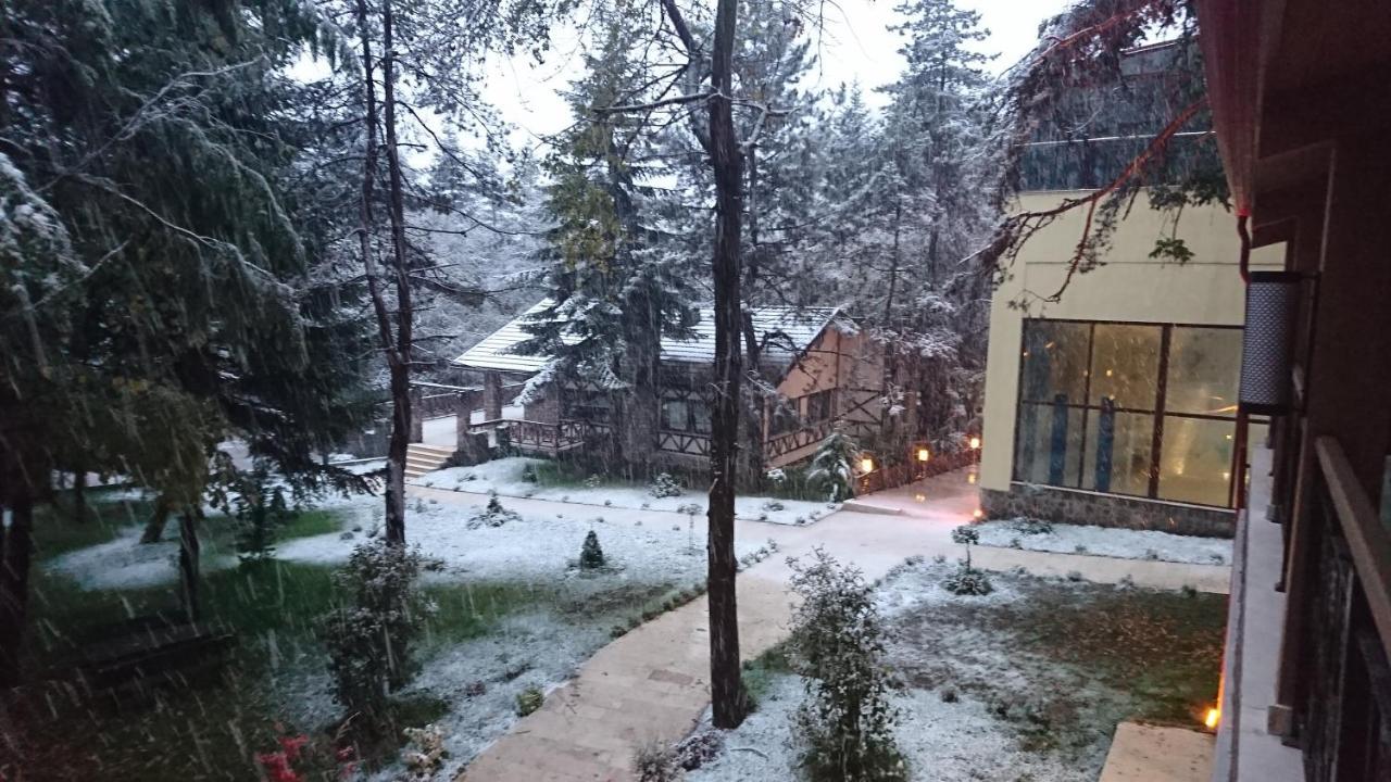 Bolu Koru Hotels Spa & Convention Yolcatı Exteriér fotografie