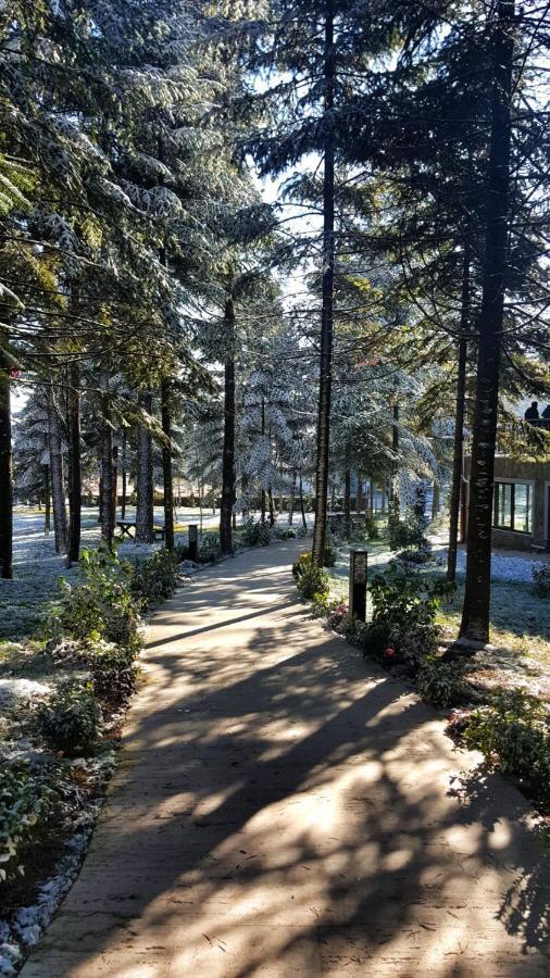 Bolu Koru Hotels Spa & Convention Yolcatı Exteriér fotografie