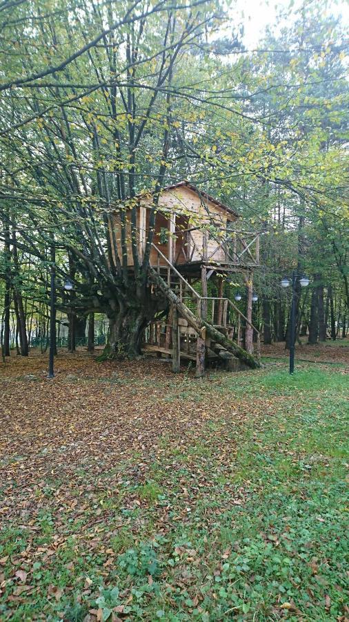 Bolu Koru Hotels Spa & Convention Yolcatı Exteriér fotografie